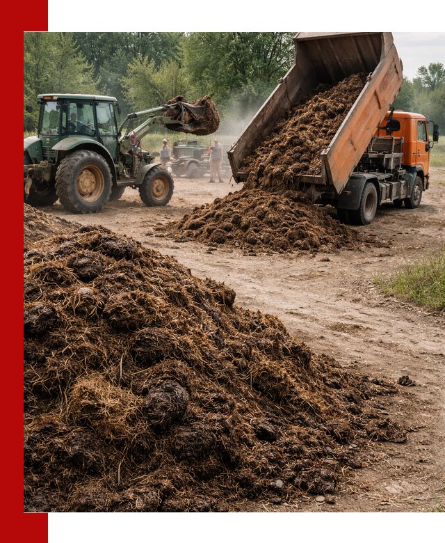 Доставка навоза самосвалами в Озёрске для сельхозпотребностей