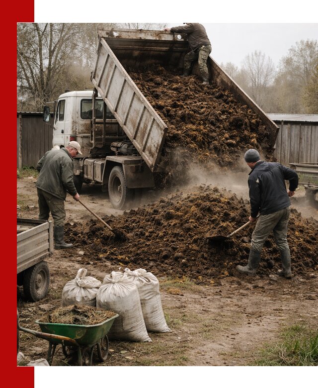 Доставка коровьего навоза самосвалом в Озёрске